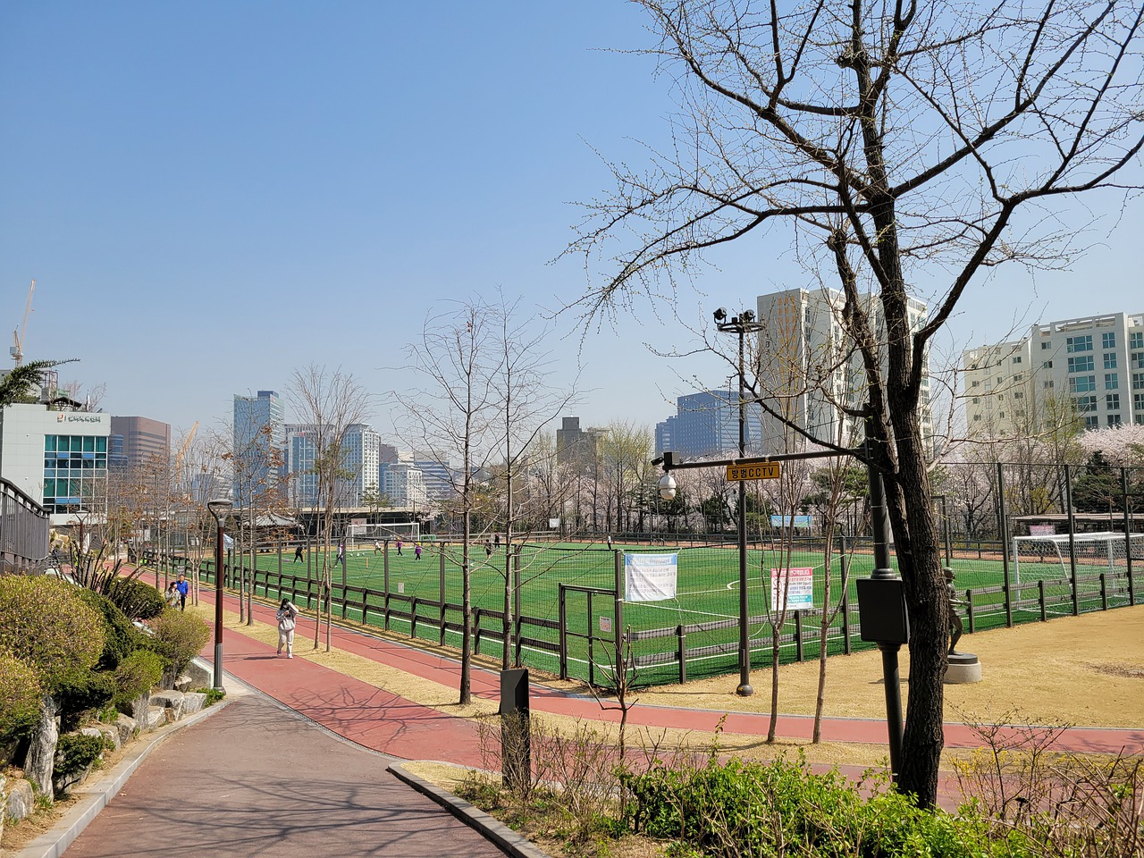 东福山矶钓遇小油扁围堵，坚守终获大黑鲷惊喜