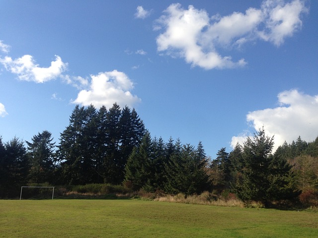 武磊本赛季