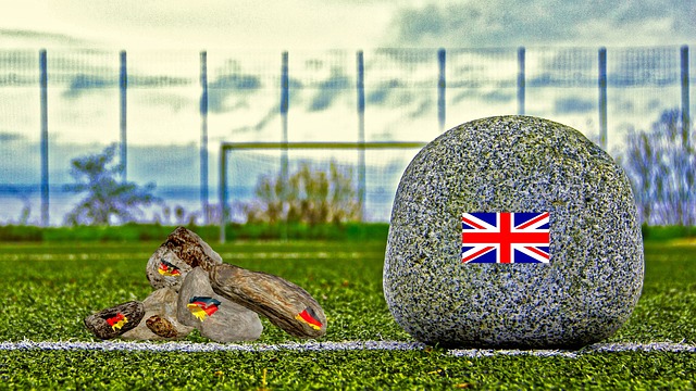 的轉會市場 的轉會市場