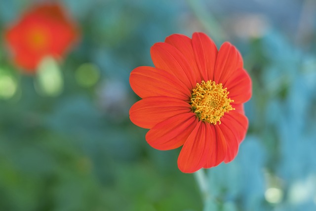 相比之下 相比之下