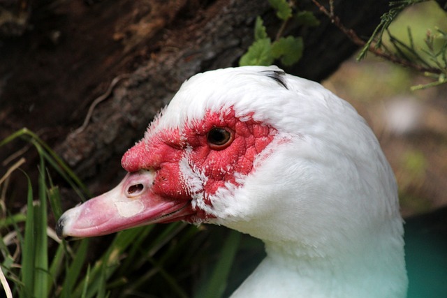 2004中超元年算起 20年来已有127家职业俱乐部消失.