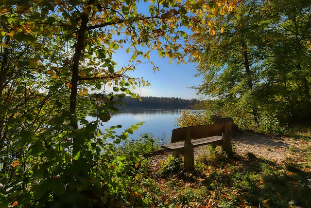 12月11日NBA優秀球員評選.